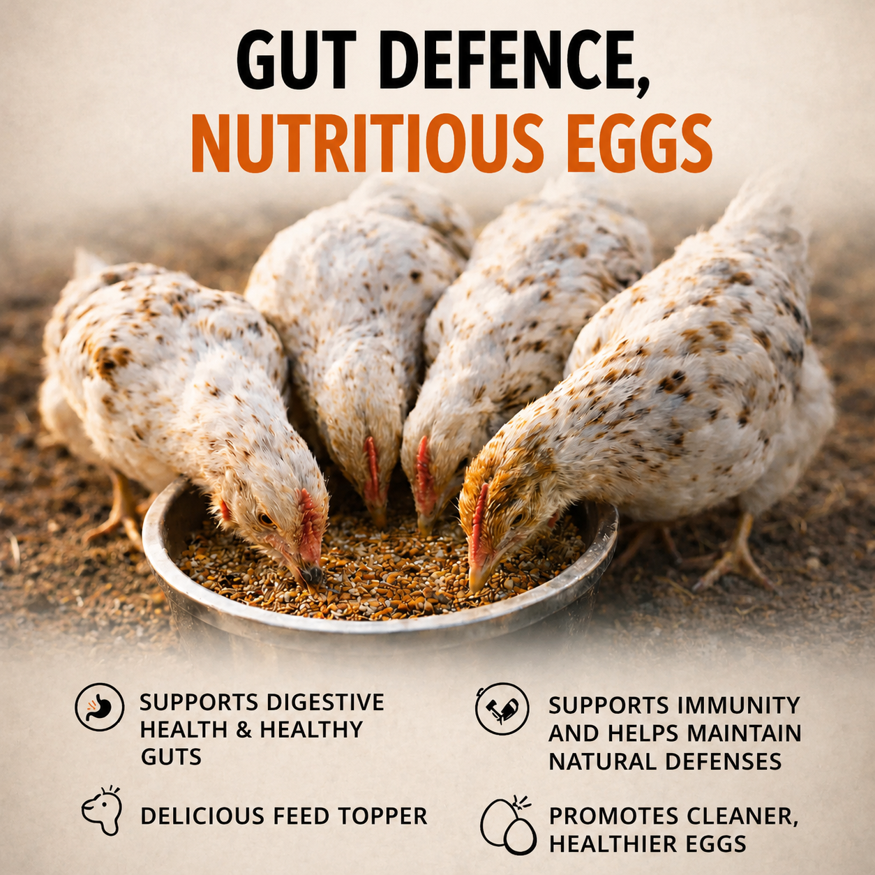 Natural Gut Support Chilli Mix